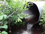 Culvert Crossing, Wade, Maine