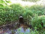 Culvert Crossing, Wayne, Maine
