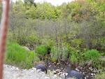 Multiple Culvert Crossing, Greene, Maine