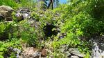 Culvert Crossing, Wayne, Maine