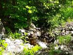 Culvert Crossing, Greene, Maine