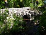 Culvert Crossing, Greene, Maine