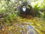 Culvert Crossing, Fayette, Maine