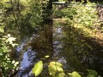 Culvert Crossing, Gilead, Maine