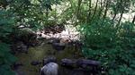 Culvert Crossing, Livermore Falls, Maine