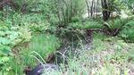 Culvert Crossing, Leeds, Maine