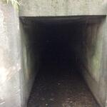 Culvert Crossing, Carthage, Maine