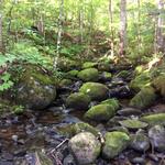 Culvert Crossing, Carthage, Maine