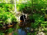 Culvert Crossing, Wales, Maine