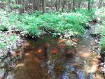 Culvert Crossing, Wales, Maine