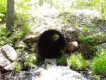 Culvert Crossing, Wales, Maine