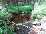 Culvert Crossing, Wales, Maine