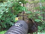 Culvert Crossing, Enfield, Maine