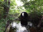 Culvert Crossing, Enfield, Maine