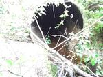 Culvert Crossing, Enfield, Maine