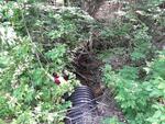 Culvert Crossing, Milo, Maine