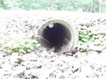 Culvert Crossing, E Twp, Maine
