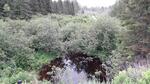 Culvert Crossing, T7 R5 WELS, Maine