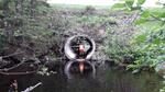 Culvert Crossing, T7 R5 WELS, Maine