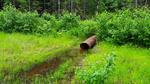 Culvert Crossing, T5 R7 WELS, Maine