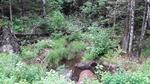 Culvert Crossing, T5 R7 WELS, Maine