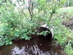 Culvert Crossing, Cross Lake Twp, Maine
