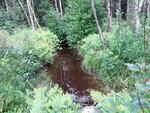 Culvert Crossing, Cross Lake Twp, Maine