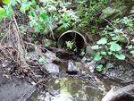 Culvert Crossing, Saint John Plt, Maine