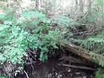 Culvert Crossing, Saint John Plt, Maine