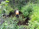 Culvert Crossing, Madawaska Lake Twp, Maine