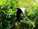 Culvert Crossing, Madawaska Lake Twp, Maine