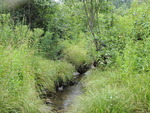 Culvert Crossing at Cape Cod Hill Road, New Sharon, Maine