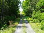Culvert Crossing, Westmanland, Maine