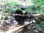 Culvert Crossing, Westmanland, Maine