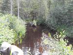 Culvert Crossing, Perham, Maine