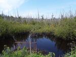 Culvert Crossing, Perham, Maine