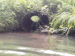 Culvert Crossing, New Sweden, Maine