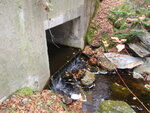 Culvert Crossing, Sandy River Plt, Maine