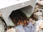 Culvert Crossing, Sandy River Plt, Maine