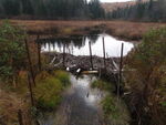 Culvert Crossing, Wyman Twp, Maine