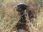 Culvert Crossing, Coplin Plt, Maine