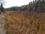 Culvert Crossing, Coplin Plt, Maine