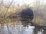Multiple Culvert Crossing, Bear Brook, Chain of Ponds Twp, Maine