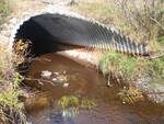 Multiple Culvert Crossing, Bear Brook, Chain of Ponds Twp, Maine