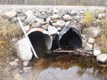 Multiple Culvert Crossing, Chain of Ponds Twp, Maine
