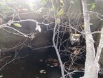 Culvert Crossing, Bethel, Maine