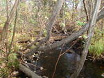 Culvert Crossing, Bethel, Maine