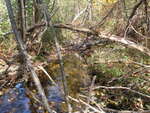 Culvert Crossing, Gilead, Maine