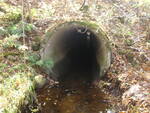 Culvert Crossing, Gilead, Maine