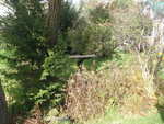 Culvert Crossing, David Brook, Gilead, Maine